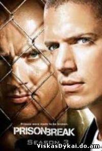 Filmas Kalėjimo bėgliai (3 sezonas) / Prison Break (Season 3) - Online Nemokamai