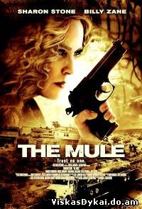 Filmas Pasienis / The Mule / Border Run (2013) Online