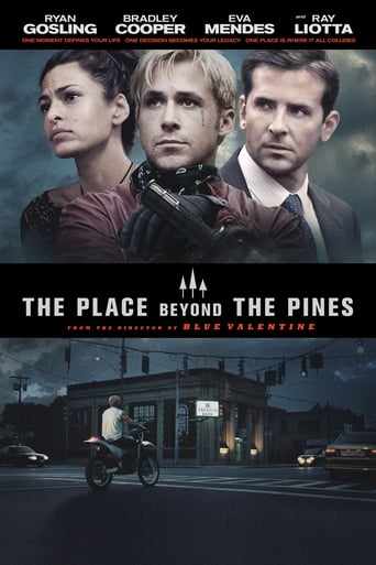Filmas Niujorko šešėlyje / The Place Beyond the Pines (2013)