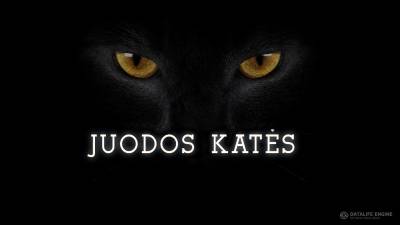 Juodos Katės (1 sezonas) (2015)