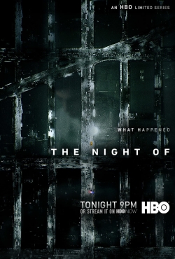 Filmas Kartą naktį / The Night Of (1 sezonas) (2016) online