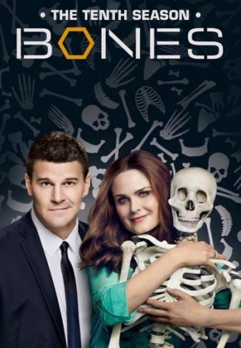 Kaulai / Bones (10 sezonas) (2014) online