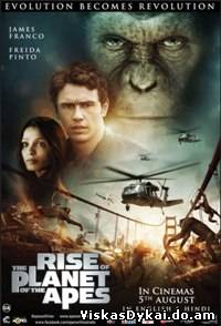 Filmas Beždžionių planetos sukilimas / Rise of the planet of the apes (2011) - Online Nemokamai