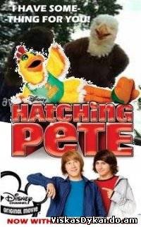 Filmas Viščiukas Pitas / Hatching Pete (2009) - Online Nemokamai