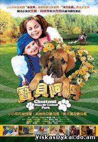 Filmas Kaštonas: Centrinio parko didvyris / Chestnut: Hero of Central Park (2004) - Online Nemokamai