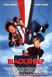 Filmas Nevykėlis / Black Sheep (1996) - Online Nemokamai