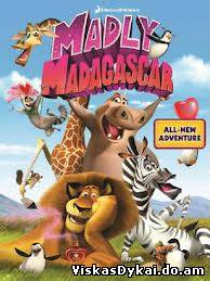 Filmas Beprotiškas Madagaskaras / Madly Madagascar (2013) - Online