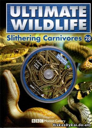 Filmas Gyvūnijos Pasaulyje. Gyvatės / Ultimate Wildlife. Slithering Carnivores (2009)