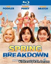 Filmas Pavasario Atostogų Sužlugimas / Spring Breakdown (2009)