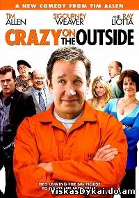 Filmas Beprotiška išorė / Crazy on the Outside (2010)