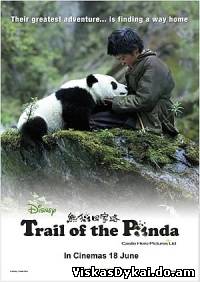 Filmas Pandos pėdsakais / Xiong mao hui jia lu (2009)