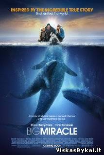 Filmas Didžiulis stebuklas / Big Miracle (2012)