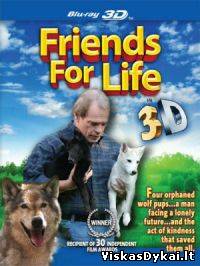 Filmas Amžini draugai / Friends for Life (2008)