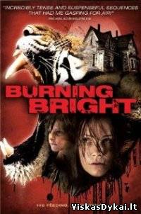 Filmas Deganti šviesa / Burning Bright (2010)