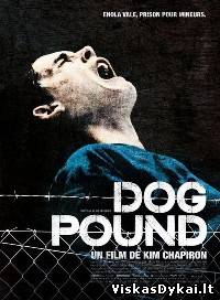 Filmas Šuniškas gyvenimas / Dog Pound (2010)