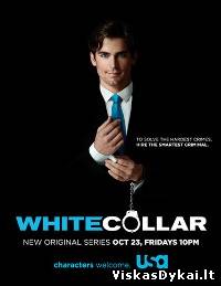 Filmas Aferistas (1 sezonas) / White Collar (Season 1)(2009)