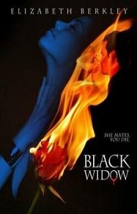 Filmas Juodoji našlė / Black Widow (2008)