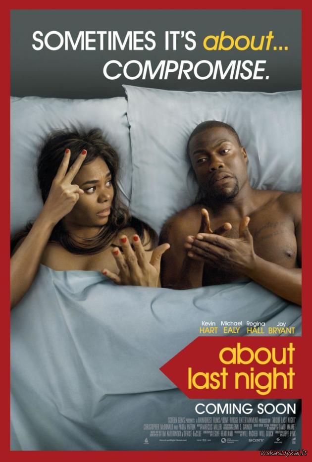 Filmas Praėjusios nakties istorija / About Last Night (2014)