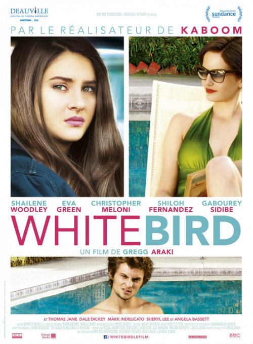 Filmas White Bird in a Blizzard (2014)