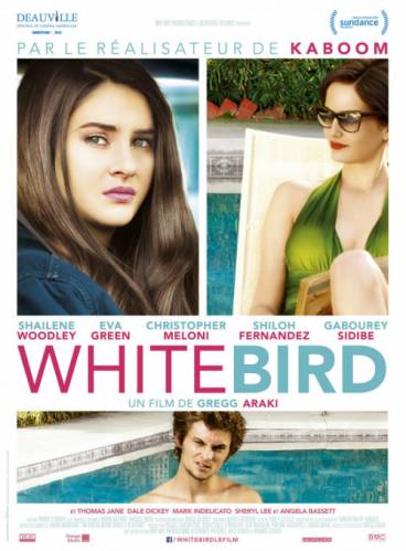 White Bird in a Blizzard (2014)