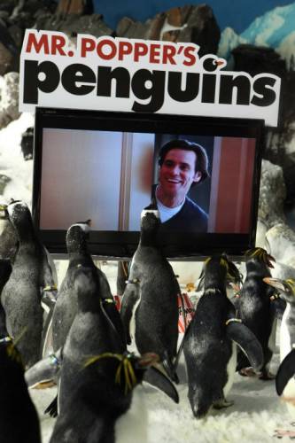 Pono Poperio pingvinai / Mr. Popper's Penguins (2011)