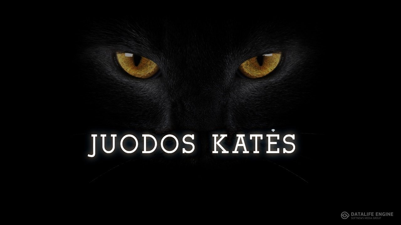 Filmas Juodos Katės (1 sezonas) (2015)