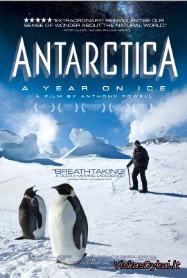 Filmas Antarktida: Metai ant ledo / Antarctica: A Year on Ice (2013)