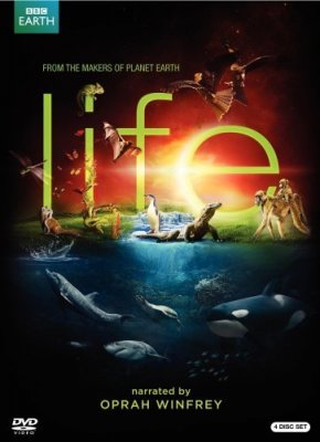 Filmas Gyvenimas / Life (1 sezonas) (2009) online