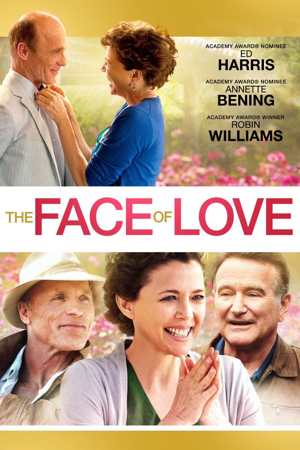 Filmas Meilės veidas / The Face of Love (2013) online