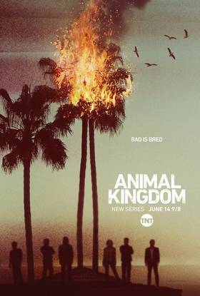 Gyvulių karalystė / Animal Kingdom (1 sezonas) (2016) online