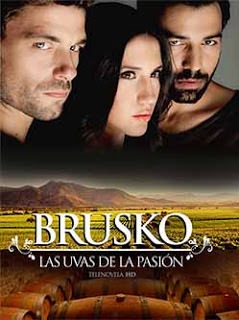 Aistros vynas (1 sezonas) / Brousko (season 1) (2013) online