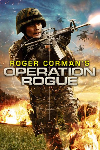 Filmas Įkaitų krizė / Operation Rogue (2014) online