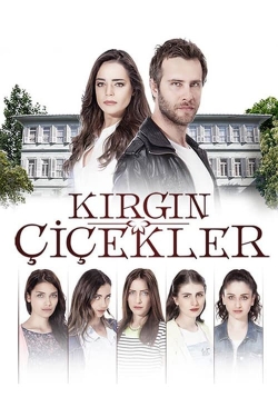 Filmas Našlaitės / Kirgin Çiçekler (1 Sezonas) (2015)